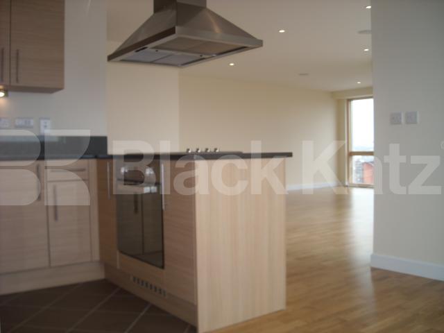 			NEW INSTRUCTION, 3 Bedroom, 1 bath, 1 reception Flat			 The Vantage, Metro Central, 119 Newington Causeway, Elephant and Castle